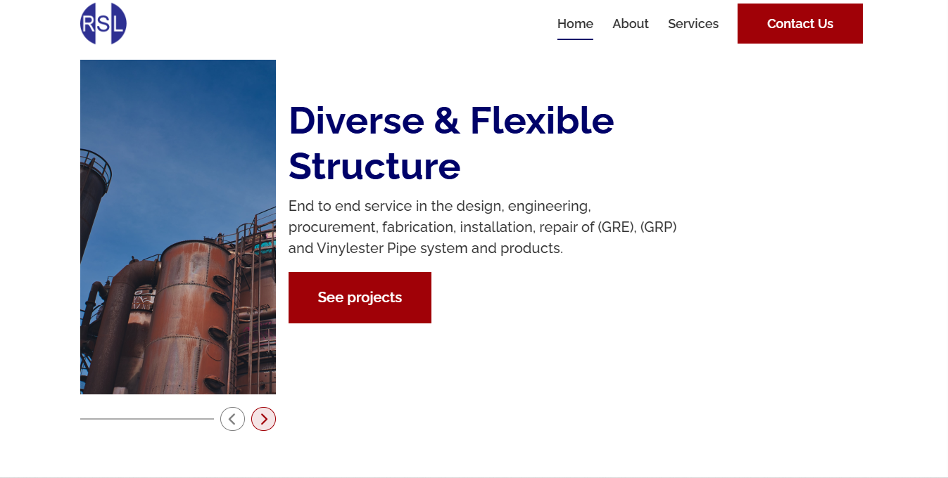 Ralonick Company Website preview